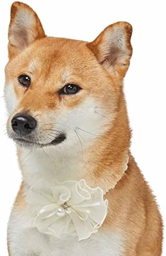 Blueberry Pet Dog of Honor Wedding Collar, Medium, Elastic Breakaway Quick Release Dog Cat Collar with Flower