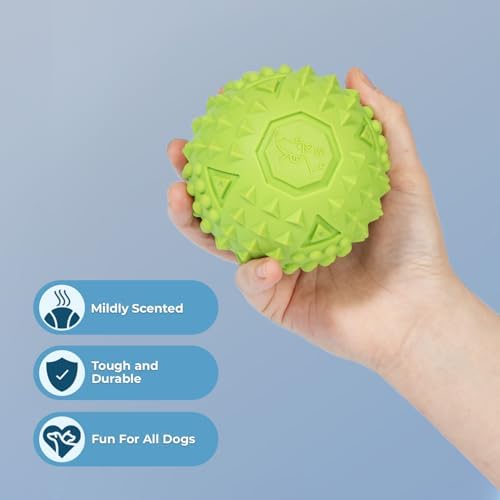 Best Pet Supplies Squeaky Dog Toys with Soft Durable Fabric for Small, Medium and Large Pets Interactive Toy for Indoor Play, Supports Active Biting and Play - Fuchsia, Green (L:3.5")