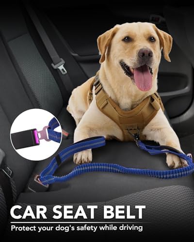 Joytale Tactical Dog Collar(17"-21") and Dog Leash Set, Shock Absorbing Bungee Dog Leash and Adjustable Strong Dog Collar with Handle for Large Dogs(Navyblue, L)