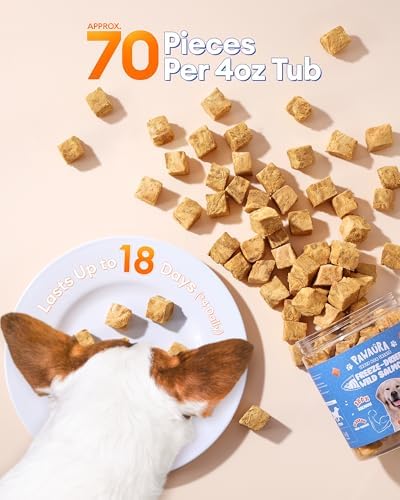 Freeze Dried Salmon Dog Treats,Single Ingredient,for All Dogs-4oz