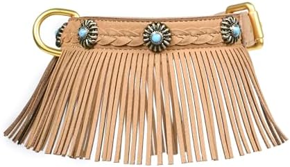 Blueberry Pet Silver-Powered Freshness Western Fringe Brown Microfiber Suede Collar with Turquoise Conchos