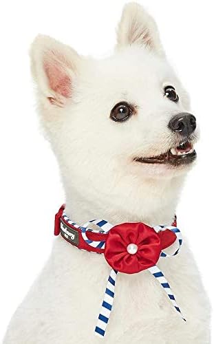 Blueberry Pet 4 Patterns Bon Voyage Sea Lover Adjustable Dog Collar in Timeless Red, Neck 9-12.5", for Small Breed