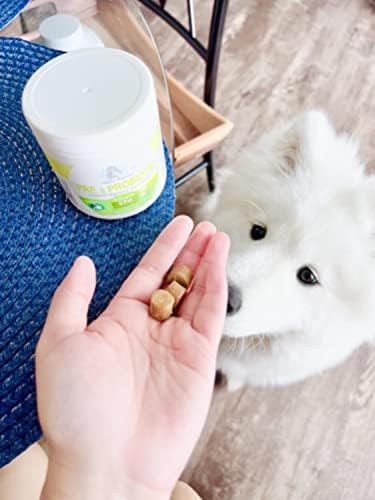 Four Paws Healthy Promise Pre & Probiotics for Dogs, 90 Count