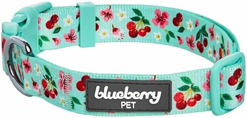 Cherry Garden Dog Collar with Dainty Flowers
