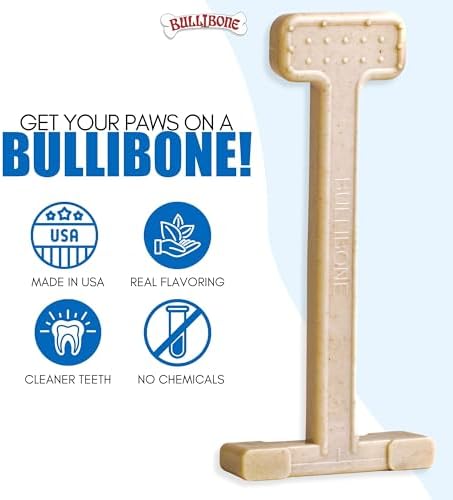 Bullibone Nylon Dog Chew Toy for Aggressive Chewers - Dental Hygiene Bone with Chicken Flavor, Durable Tough Chew Toys for Large Dogs, Indestructible Dog Bone - 3 Pack