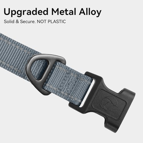 Joytale Reflective Dog Collar, Adjustable Neoprene Padded, Gray L
