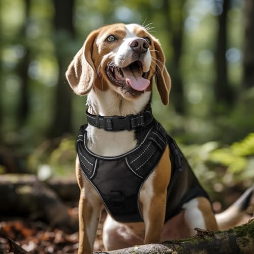 Joytale Reflective Dog Collar, Adjustable Neoprene Padded, Black XL
