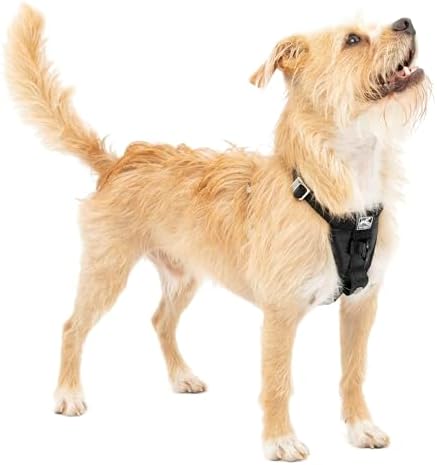 Kurgo Enhanced Strength Tru-Fit Smart Harness, Black, Small