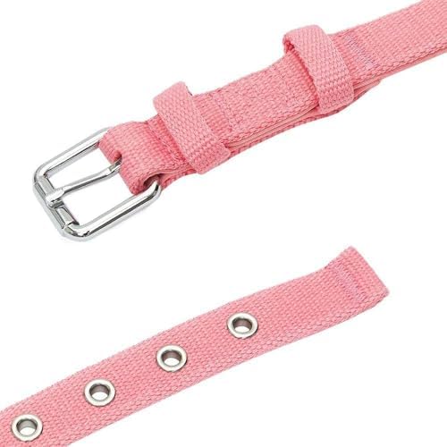 Blueberry Pet New Classic Modern Iconic Neoprene Padded Dog Collar Carnation Pink/Large