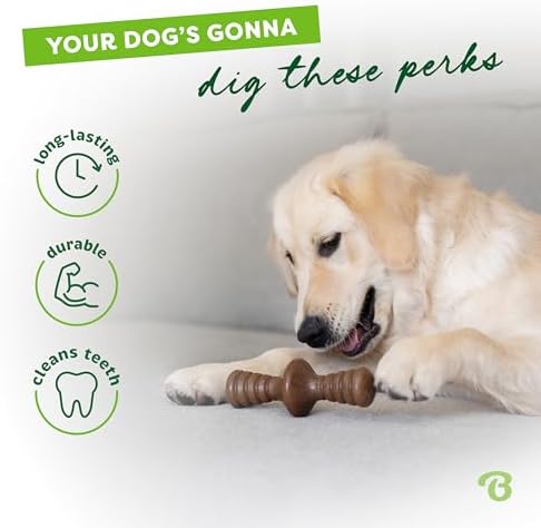 Benebone Zaggler Rolling Dog Chew Toy for Aggressive Chewers, Real Chicken, Made in USA, Medium