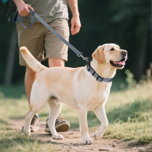 Joytale Reflective Dog Collar, Adjustable Neoprene Padded, Gray L