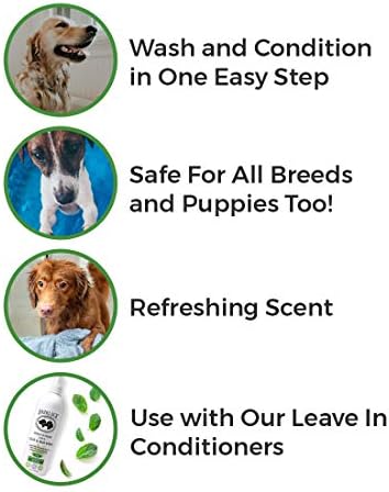BarkLogic Clean & Clear 2 in 1 Shampoo & Conditioner, Mint, 16 fl oz - Grooming Essentials for A Quality Coat - No Parabens, No Phthalates, No Sulfates, No DEA & PEG, Safe & Vegan