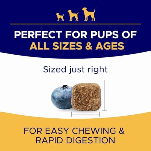 Omega 3 Fish Oil for Dogs - Skin & Coat Support, Itch & Allergy Relief