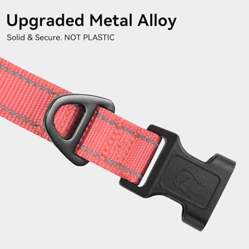 Joytale Reflective Dog Collar, Adjustable Neoprene Padded, Neon Pink L