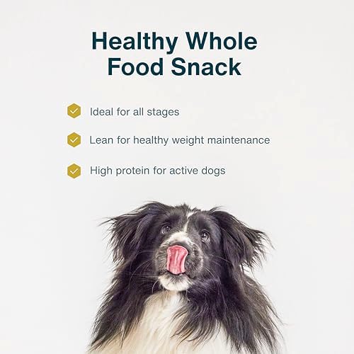 JustFoodForDogs Single Ingredient Jerky Dog Treats - Pork, 5oz (Pack of 2)