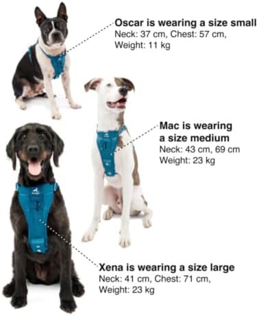 Kurgo Enhanced Strength Tru-Fit Smart Harness, Ink Blue, Medium