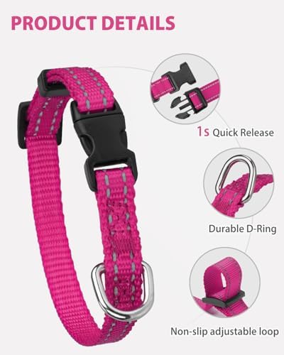 Joytale Feather-Light Puppy Collar for Extra Small Dogs, 3/8", Hotpink