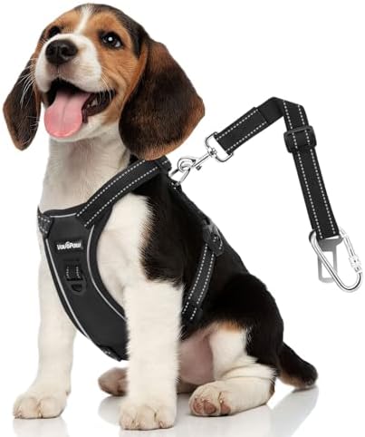 VavoPaw Dog Seat Belt Vest Harness for Car, 2 in 1 Seatbelt Buckle