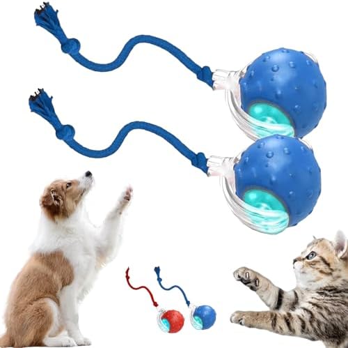 2026 New Dog Toy, Interactive Fast Moving Toys Balls with Birdsong, 360° Smart Automatic Rolling Electric Dog Ball Toy with Rope for Dogs and Cat Indoor Play (Blue*2)