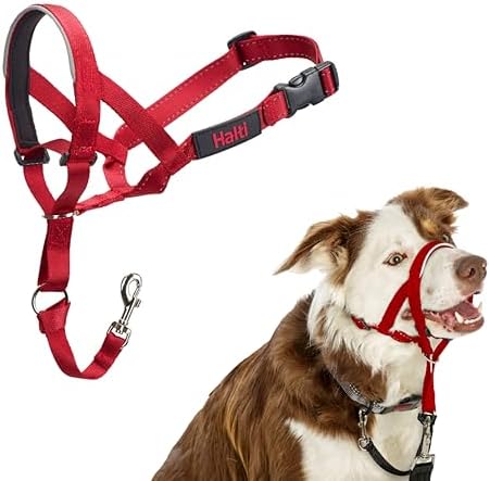 Halti Headcollar | Size 2, Red | Training Collar for Medium Dogs