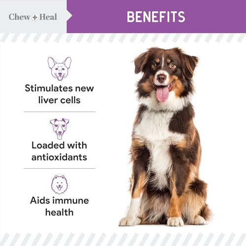 Milk Thistle for Dogs Liver Support, 2 oz - Liquid Milk Thistle Supplement