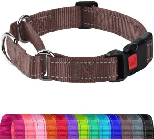 Joytale Martingale Collar for Dogs, Escape Proof No Pull, Brown, L