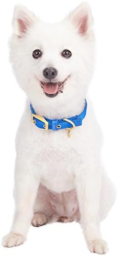 Blueberry Pet The Most Coveted Designer Mixed Metallic Thread Adjustable Dog Collar in Sparkling Azure Blue with Metal Buckle, Neck 13-16.5", for Medium Breed