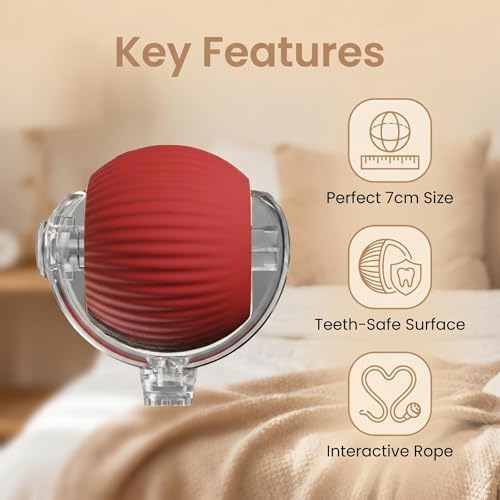 Interactive Pet Toy Ball, 2026 Automatic Dog Toy Interactive Dog Cat Toy Ball Dog & Cat Electric Active Toys, Smart Chase Pet Toy Ball for Dogs for Large Small Dogs Motion Activated (Red)