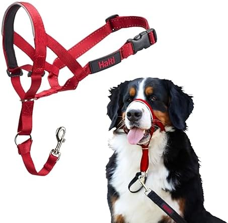 Halti Headcollar | Size 4, Red | Training Collar for Large Dogs