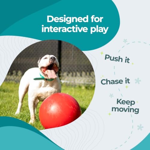 Jolly Pets Push-n-Play Ball Dog Toy, 14 Inches/Extra-Large, Red All Breed Sizes | Extra-large 14 inch durable push ball for XL dogs, fill with sand or water to adjust weight, floats, made in the USA