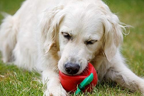 Petface Latex Tomato Soft Chew Dog Toy, Large | Durable Latex, Built-In Squeaker, for Fetch, Engaging Playtime