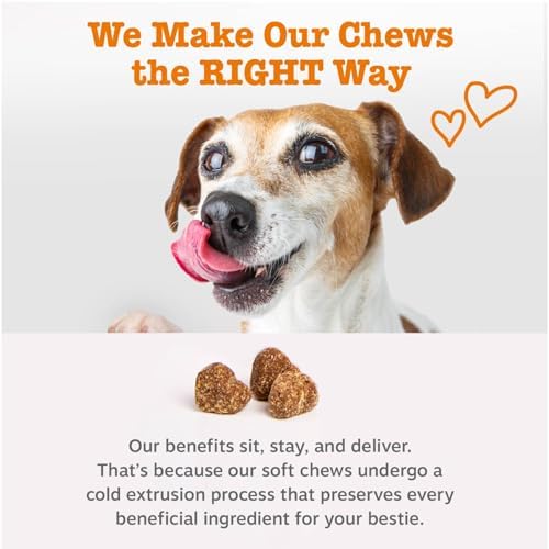 Zesty Paws Vet Strength Allergy Immune Bites - Dog Allergy Chews, Dog Probiotics for Itchy Skin and Ears, Smoked Cheese, 90ct (Pack of 2)