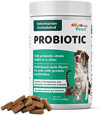 Wellnergy Daily Probiotic & Prebiotics Soft Chew for Dogs & Cats - Digestive Support for Diarrhea, Constipation, Upset Stomach, Indigestion & Gas - Helps Digestion, Allergy Skin & Immune Health 160ct