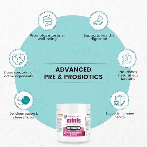 Nootie Progility Mini Pre & Probiotic Supplement, Digestive Aid Supplement for Dogs, 60 Soft Chews per Container