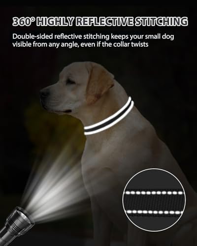 Joytale Feather-Light Dog Collar for Medium & Large Dogs, 1", Black