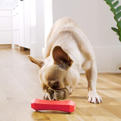 Playology Squeaky Chew Stick - Scented Dog Toy - Medium, Beef Scent | Rubber Construction, All Natural Scent, Durable Design