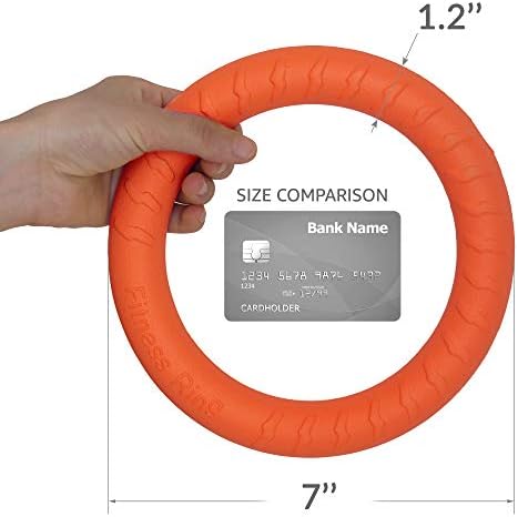 PetSpy Dog Ring Toy, Flying Ring, Floating Training & Fetch, EVA