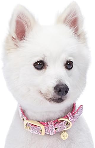 Blueberry Pet Lace Floral Stamping Adjustable Dog Collar in Iconic Pink, Neck 13-16.5", for Medium Breed