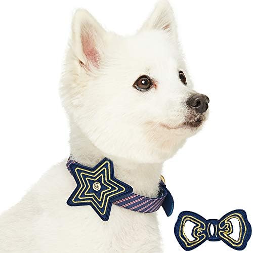 Blueberry Pet Adjustable Dog Collar with Metal Buckle and 2 Detachable Bowtie - Blue Asymmetric Stripe, Neck 13-16.5", for Medium Breed
