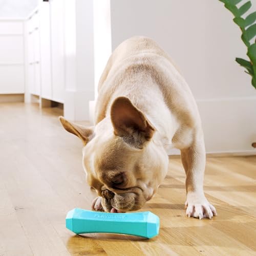 Playology Squeaky Chew Stick Scented Dog Toy - Medium, Peanut Butter Scent | Rubber Construction, All Natural Scent, Durable Design