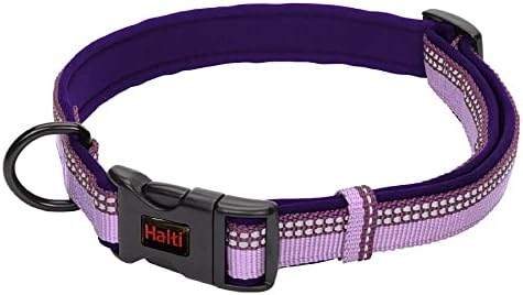 Halti Dog Collar | Size L, Purple
