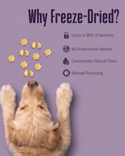 Whole Life Dog – Crunchables Dog Treats for Gut Health & Digestive Support, Constipation Relief, Digestive Health & Immune Support for Sensitive Stomachs, Pumpkin & Yogurt Crunchy Treats