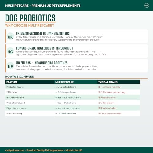 Probiotics for Dogs – 5-Strain 2 Billion CFU + Digestive Enzymes & Prebiotics | Gut Health, Firm Stools, Less Gas & Bloating | Full B-Complex Vitamins in One Tablet | Chicken Flavor | UK GMP | 120 Ct