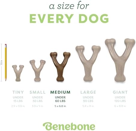 Benebone 2-Pack Wishbone Toy for Aggressive Chewers, Real Bacon, Medium | Durable, Multipack, Super Chewer, Made in USA, Dog Bones, Long-Lasting, A Size for Every Dog, Keeps Them Busy