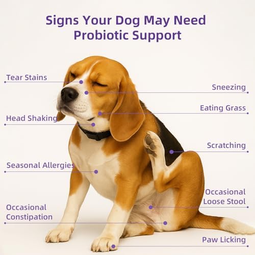 Dog Probiotic Chewable Tablets with Prebiotic & Digestive Enzymes, Daily Gut Support Supplement for All Breed Dogs, Chicken Flavor 90 Count