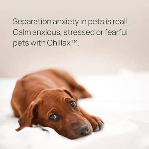 pawTree Chillax, Hemp, 60-Pack, Large