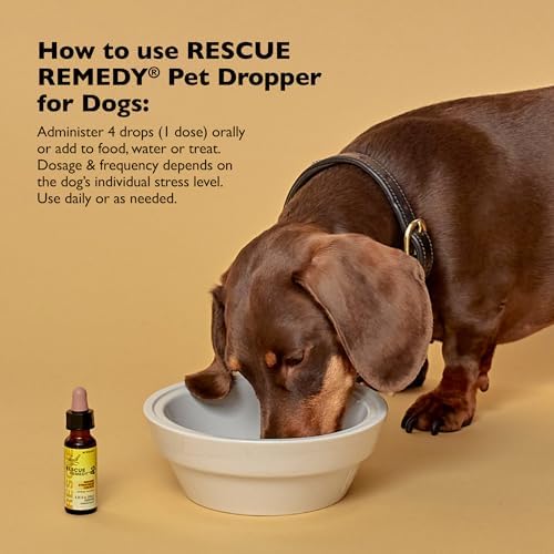 Rescue Remedy Pet Dropper for Dogs - 20 mL, Pack of 2 - Stress & Tension Support for Dogs with Bach Natural Flower Essences - Sedative-Free, Homeopathic Liquid Formula - For All Breeds, Ages & Weights