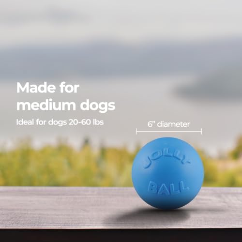 Jolly Pets Bounce-n-Play Dog Toy Ball, 6 Inches, Blueberry, All Breed Sizes | Tough, bouncy medium dog ball made from JollyFlex material that retains shape even when punctured and floats for water play