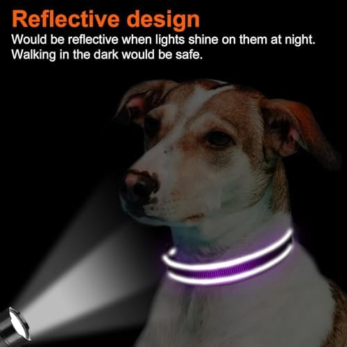 Joytale Reflective Dog Collar, Adjustable Neoprene Padded, Purple S