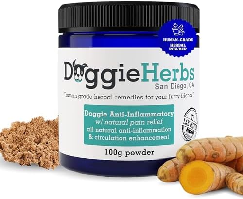 Natural Anti-Inflammatory Support – Clinical Grade Corydalis, Curcumin & Turmeric Blend – TCM Doctor Formulated Powder for Stiffness, Aches & Hip Dysplasia Relief 100g